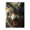 500 Pieces, variant on 500-Piece Wooden Jigsaw Puzzle for Adults - Wolf Predator Face Eyes Fangs , Fun & Relaxing Interlocking No-Dust Puzzle for Family, Home Decor & Holiday Gifts