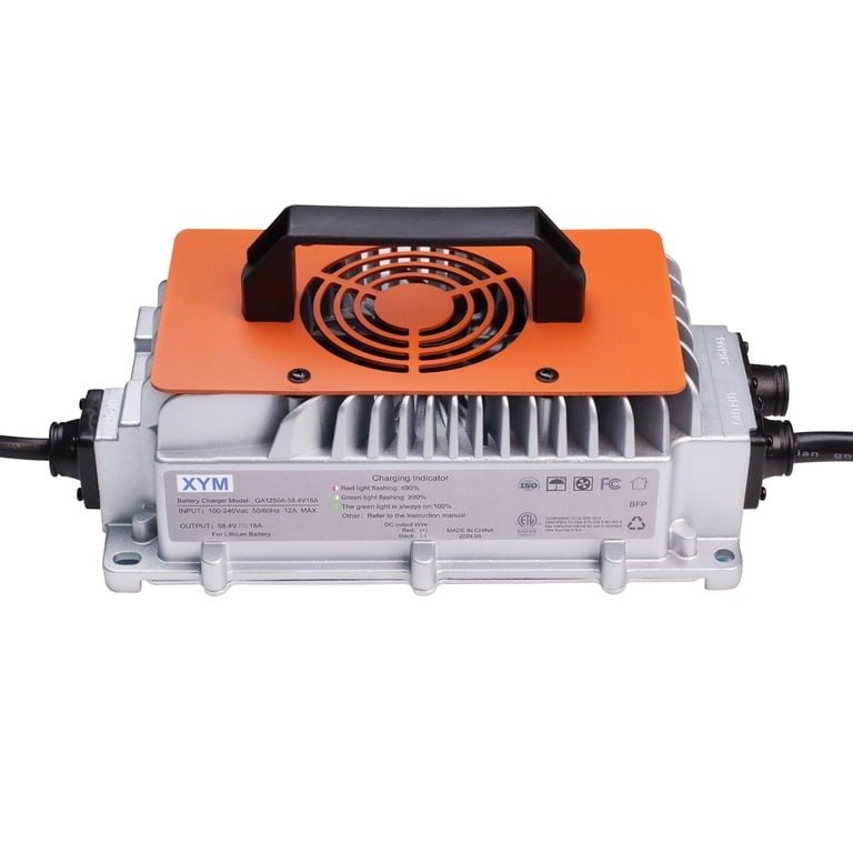 CHINS 48V 18A Lithium Battery Charger, Including 0V Charging