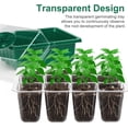 thumbnail image 4 of 12 Pack Seed Starter Tray Kit (144 Cells Total Tray) with Humidity Adjustable Dome, for Seeds Growing Starting Plant Germination Trays, Mini Green House Trays., 4 of 4