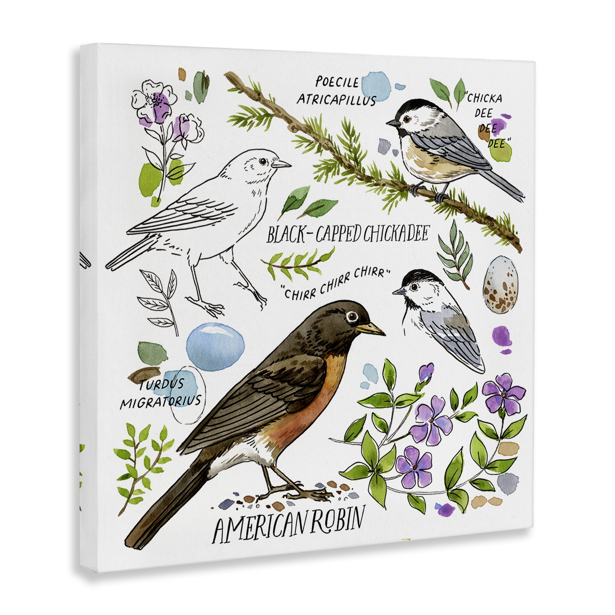 Stupell Industries Local Bird Watching Animals Painting Wrapped Canvas Art Print Wall Art, 17 x 17