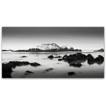 Trademark Fine Art Dave MacVicar 'The Gathering' 24 x 47 (ALI0860-C2447GG)