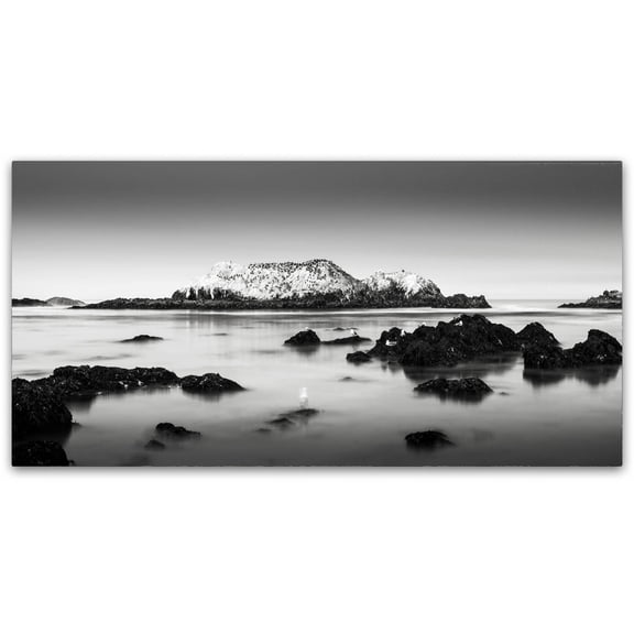 Trademark Fine Art Dave MacVicar 'The Gathering' 24 x 47 (ALI0860-C2447GG)