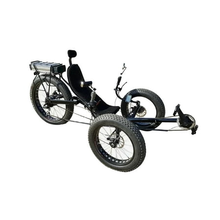 Red Adult Motorized Electric Tricycle | Heavy-Duty Three-Wheel Electric Bike for Adults | 1000W Mobility Trike with Cargo Baskets