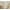 Ivory, variant on Newbridge Blue Ribbons and Bows Damask 52 x 52 inch Square Fabric Tablecloth for Party