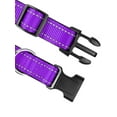 thumbnail image 4 of Reflective And Breathable Nylon Dog Collar, 4 of 4
