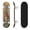 Color 3, variant on 31"x8" drawn pineapple Minimalism Complete Skateboard for Beginners succulent Dreamy Dreamy Tropical 7 Layer Maple Deck Double Kick Kids Skateboard with 85A PU Wheels Gifts for Kids Teens