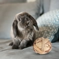 thumbnail image 2 of Grass 4pcs Small Animal Activity Toy, Fun Guinea Pig Toys, Bunny For Guinea Pig Sepak Takraw, 2 of 8