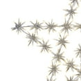 thumbnail image 3 of Hi-Line Gift Ltd. Mesmerizing 432 LED White Metal Snowflake Star Light, 3 of 8