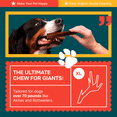 thumbnail image 4 of Extra Large Elk Antlers for Very Large Dogs - Grade A Dog Antler Chews - Natural, Long-Lasting Treats for Aggressive Chewers - Naturally Shed in USA…, 4 of 6