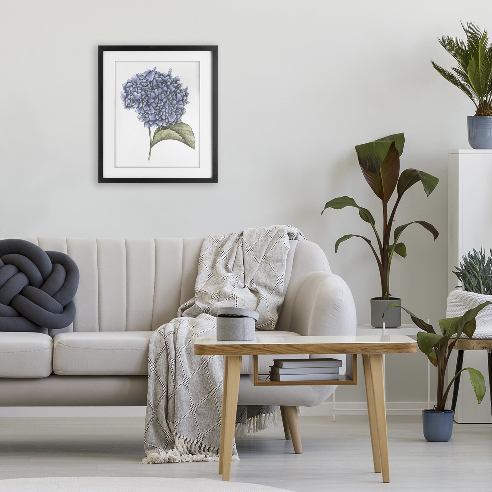 Hydrangea Sketch Blossom Black Framed Print Under Glass, design by Cecilia Battaini