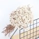 thumbnail image 2 of Bola de algodón natural 100G MACHAO flores secas hierba seca ramo de frutas blancas reales decoración de fiestas bricolaje de bodas decoración familiar 20-25 cm, 2 of 5