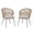 Beige, variant on JOIVI Outdoor Patio Wicker Chair, All-Weather Rattan patio Dining Chair, Armchair Seating with Cushion, Set of 2, Beige
