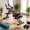 Red, variant on COSRXSVR Ab Workout Equipment, Adjustable Ab Trainer Machine for Home Gym, Squat, Pull Up, Push Up, Mini Inversion Table, Black Iron