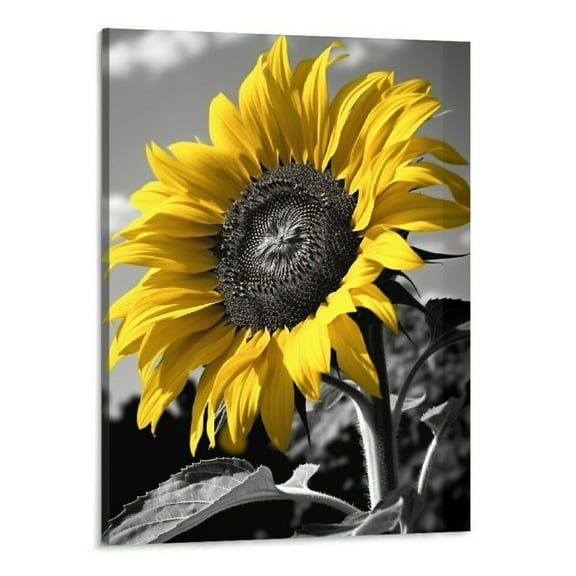 Shiartex Sunflower Wall Art Painting Decor- Yellow Floral Flower Canvas Picture Black and White Posters Prints Nature Bee Rustic Farmhouse Artwork Living Room Bathroom Kitchen Decoration 16x20 Inch