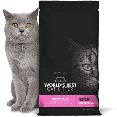 Worlds Best Cat Litter-World's Best Cat Litter Picky Cat 6lb (Case of 5