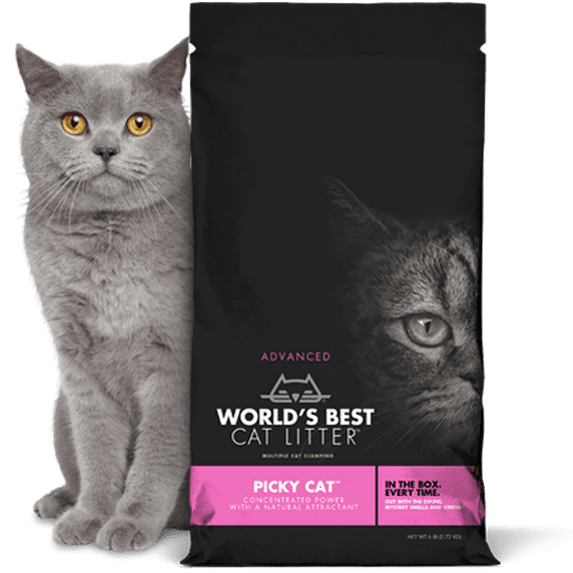 World's Best Cat Litter Advanced Picky Cat Litter, 6 Lb Bag