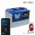 thumbnail image 4 of 100AH 12V SMART LIFEPO4 DEEP CYCLE HEATED BATTERY, 4 of 14