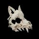 thumbnail image 4 of Máscara de hombre lobo con diseño de dios dragón japonés para Halloween, máscara de esqueleto de animal para cosplay, máscara de resina unisex para fiesta y espectáculo en el escenario, 4 of 5