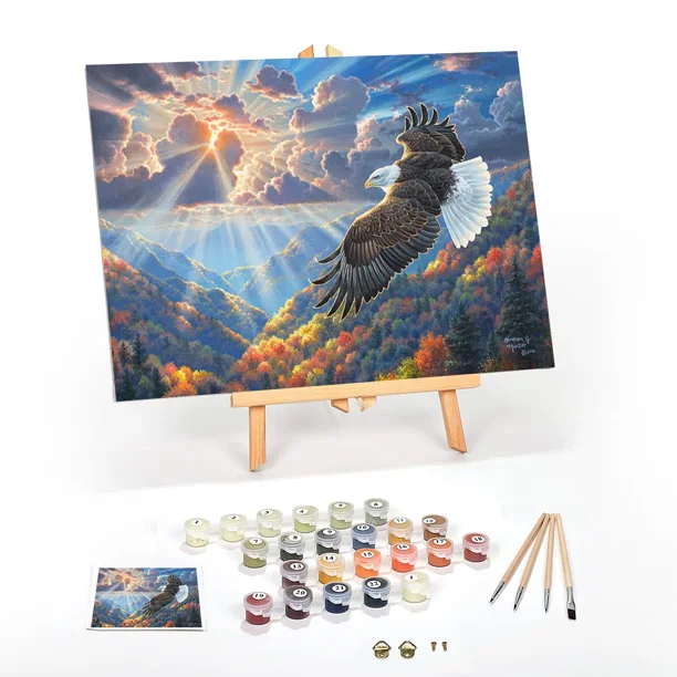 Paint by Number for Adults Beginner Complete PreFramed DIY Kit on