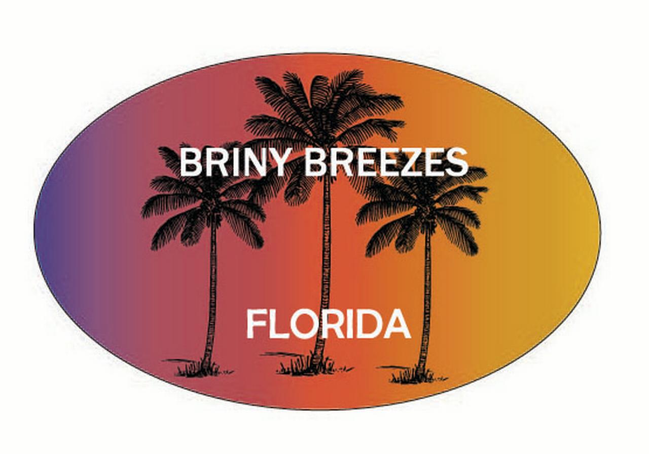 Briny Breezes Florida Trendy Souvenir Oval Decal