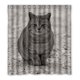 thumbnail image 1 of ABPHQTO Animal Pet Grey Cute Cat Cortina de ducha Impermeable Cortina de ducha 160x180 cm, 1 of 2