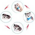 thumbnail image 4 of SHAR Squishies Dog Squishy Scented Squeeze Toys Stress Relief Squishies Slow Rising Animal Toy Kawaii Soft Gift Collection Random Color, 4 of 4