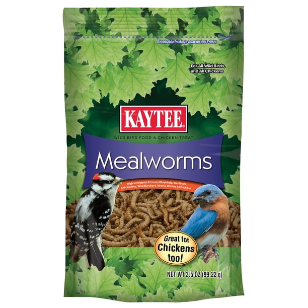 Alimento para pájaros silvestres Kaytee Mealworms 100 g con alto contenido de proteínas