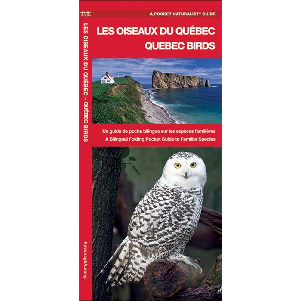 Les Oiseaux Du Québec Guide D Identification