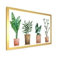 thumbnail image 2 of Designart 'Duo of Potted Flowers House Plants In Claypots' Farmhouse Framed Art Print, 2 of 4