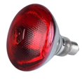 thumbnail image 1 of 240V Infra Red Heat Lamp Poultry Brooder Chicks Waterproof Hatching Puppies Piglet Bulb New, 1 of 2