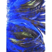 Blue Coque Rooster Tail Feathers Chinchilla 5-8 inch per Half Ounce