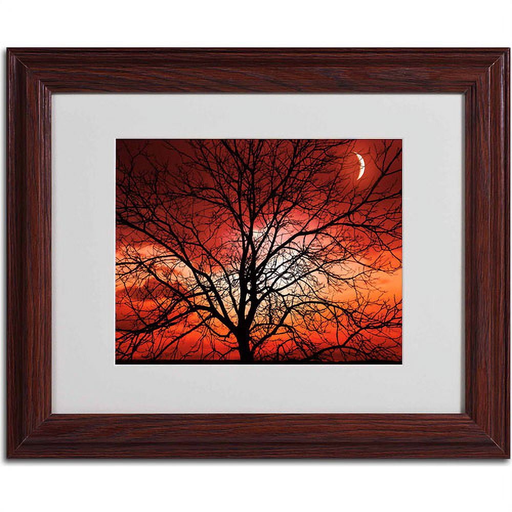 Trademark Fine Art "Big Bad Moon" Canvas Art by Philippe Sainte-Laudy, Wood Frame