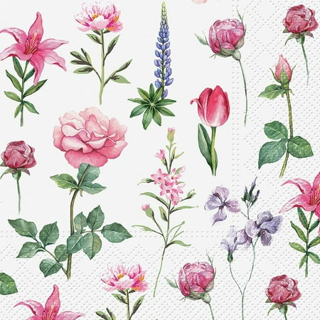 Set of 6 Luncheon Boons of Garden Napkins 20 Pack