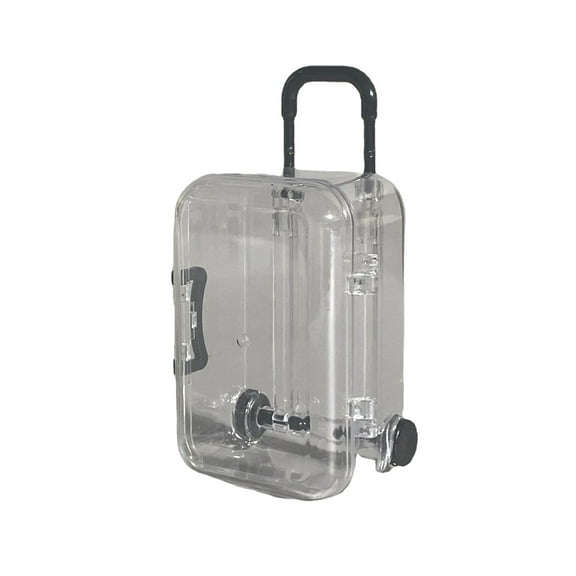 Easy to Carry Small Storage Boxes for Sorting Small Items 4 Pieces Set