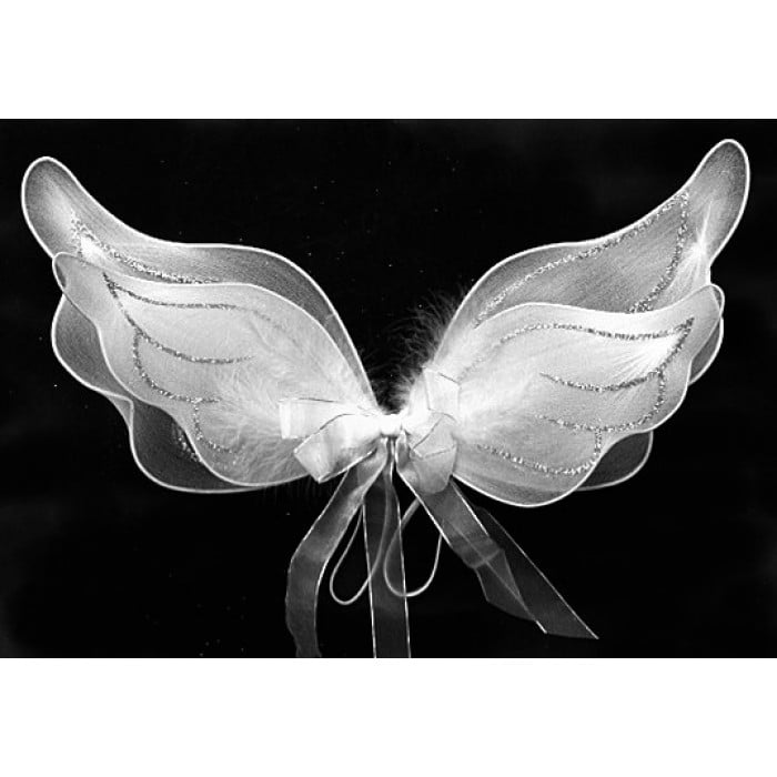 baby angel wings