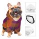 thumbnail image 3 of Fotbe Purple Yellow Buffalo Plaid Sudadera con Estampado para Perros Pequeños – Suéter con Capucha para Mascotas, Tela Suave de Forro Polar con Bolsillo-X-Small, 3 of 7