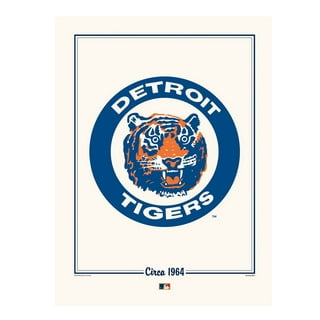 deadmansupplyco Vintage Baseball - Detroit Tigers (White Tigers Wordmark) Hoodie