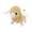 C, variant on TIELUTT An Lamb with Sounds Can Walk Its Tail and Come with A . It's A Cute Walking Toy Easter Doll Ceramic Eggs for Laying Chickens Dancing for Boys Girls Doll Dancing Christmas Cactus