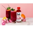 Bai Antioxidant Infused Variety Pack Rainforest Juices, 18 Fl Oz, 12