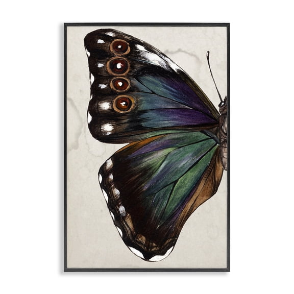 Stupell Industries Rustic Lodge Traditional Butterfly Wing Black Framed Giclee Art, 12 x 18, by Melissa Wang