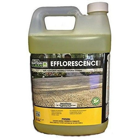 Alliance Gator Clean Efflorescence Cleaner 1 Gal for Pavers & Natural Stone Alliance Gator Clean Efflorescence Cleaner 1 Gal for Pavers & Natural Stone