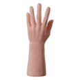 thumbnail image 1 of Left Maniquí de mano, soporte para presentación de joyería, modelo de mano masculina, pulsera, anillo, guantes, 1 of 5