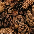 thumbnail image 2 of Maihara/Watt, Jeff/Boyce 15x15 Gold Ornate Wood Framed with Double Matting Museum Art Print Titled - Cone Harvest, 2 of 4