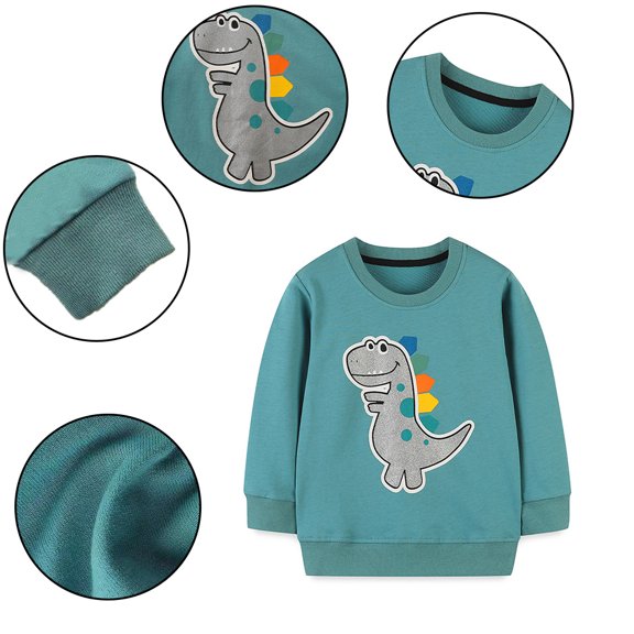 KYAIGUO Kids Toddler Boys Dinosaur Printing Sweatshirts Cotton Pullover Sweatshirt Spring Fall Tops 2-7Y Long Sleeve Bottoming Shirt