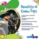 thumbnail image 4 of Masticable SodaPup Hot Dog, de nailon duradero, para perros, 4 of 6