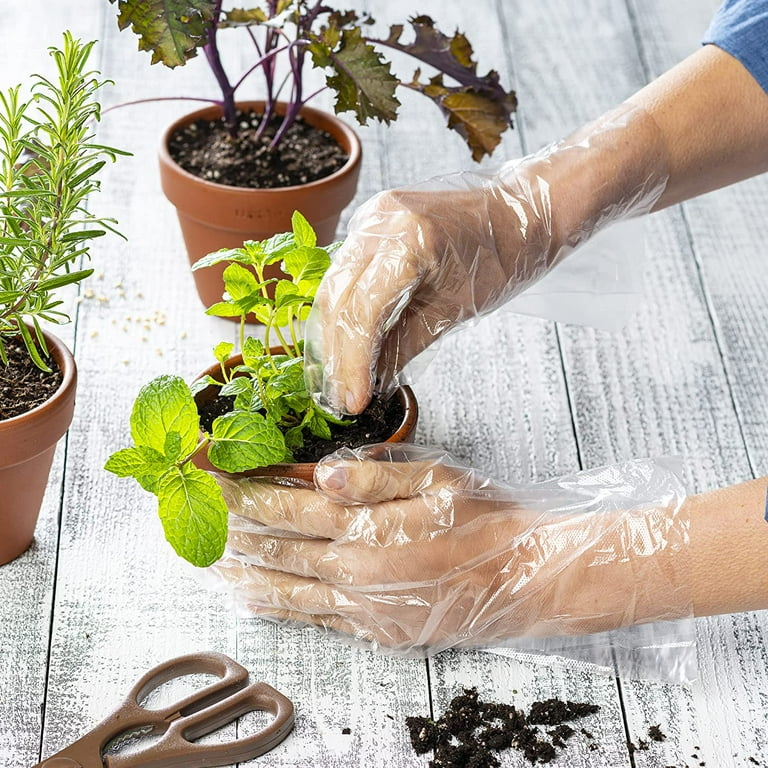 Comfy Package Poly Plastic Gloves Disposable Latex Free Food Prep Gloves, 250-Pack - Walmart.com