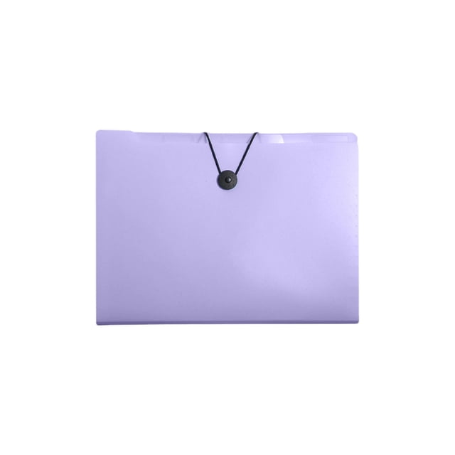 Bolsas de Almacenamiento Grandes Bolsa de Archivo de Acordeón A4 con 8 Compartimentos, Papel de Prueba de Gran Capacidad Y Bolsa de Almacenamiento de Boletos, Carpeta Clasificada de Oficina Transparen
