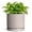 Grey, variant on Wliror 4-inch Grey Ceramic Round Planter with Drainage Hole and Saucer