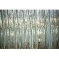 thumbnail image 2 of Berzel, Erin 18x13 Black Ornate Wood Framed with Double Matting Museum Art Print Titled - Pacific Albus IV, 2 of 4
