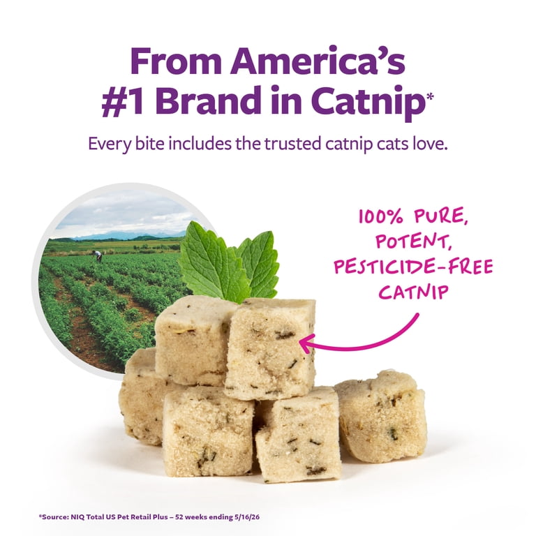 SmartyKat Freeze Dried Real Salmon & Catnip Crunchy Cube Treats